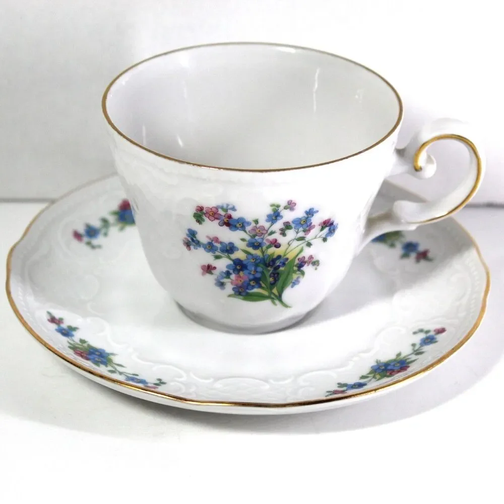 Blue & Pink Floral Tea Cup & Saucer Set Germany Seltman Weiden Demitasse Vintage